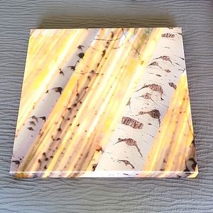 GREAT BIG CANVAS 16 X 16 Birchwood Tree Canvas